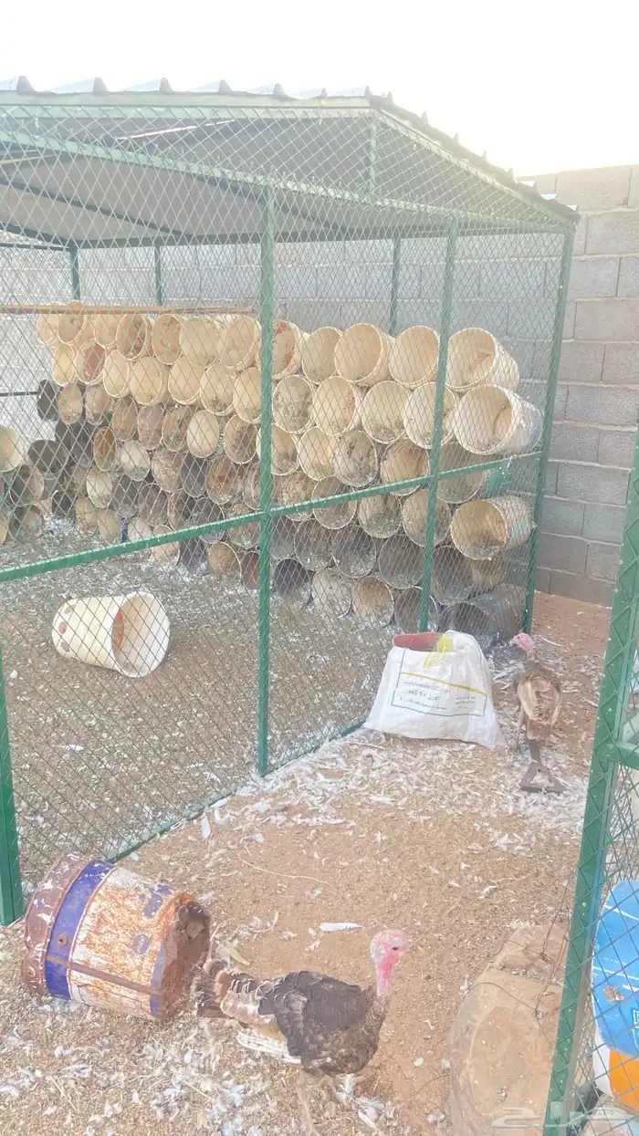 شبك حمام للبيع 2