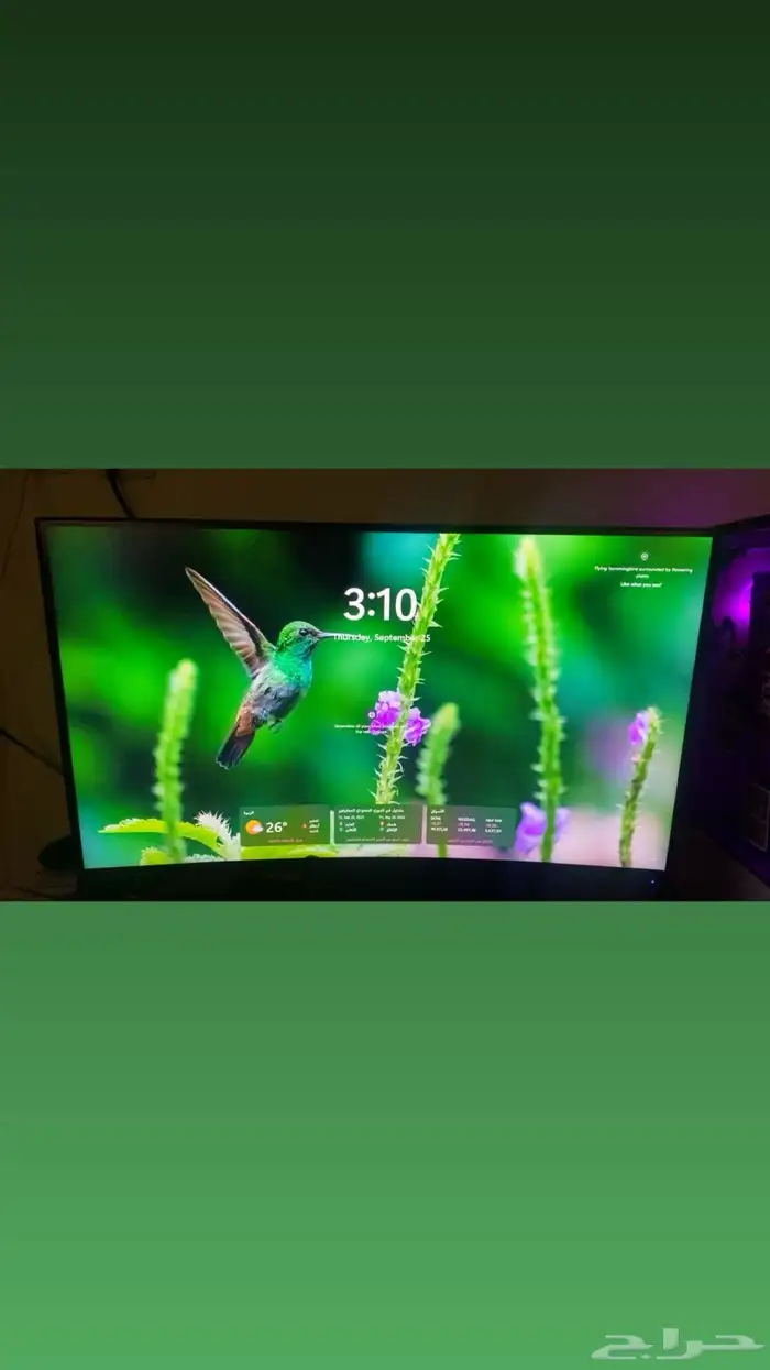 شاشه - ViewSonic 0