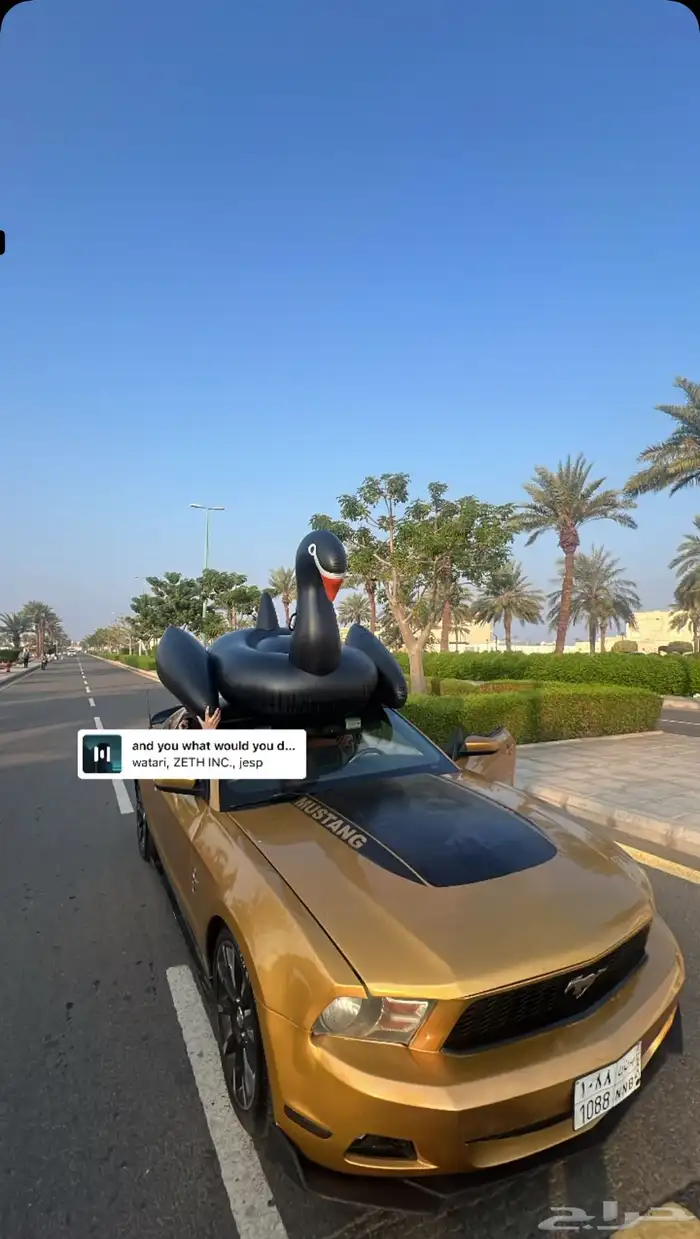 موستنج 2010 v6 7