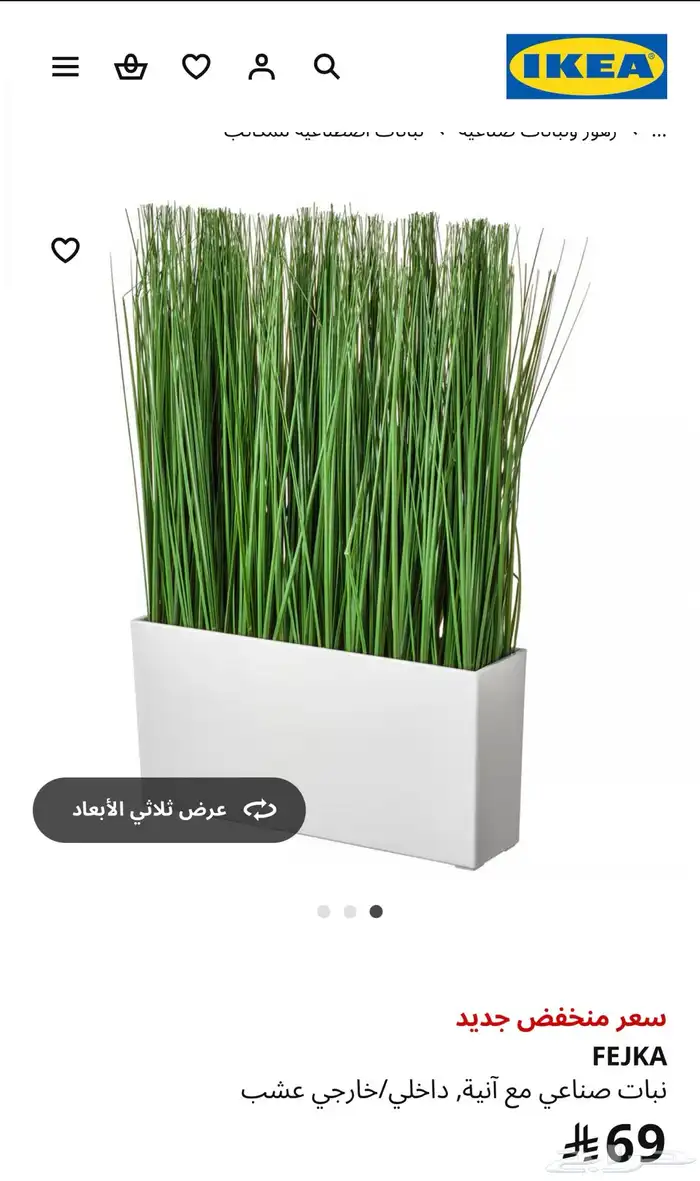 شجر نباتات ايكيا للبيع بسعر مخفض 0