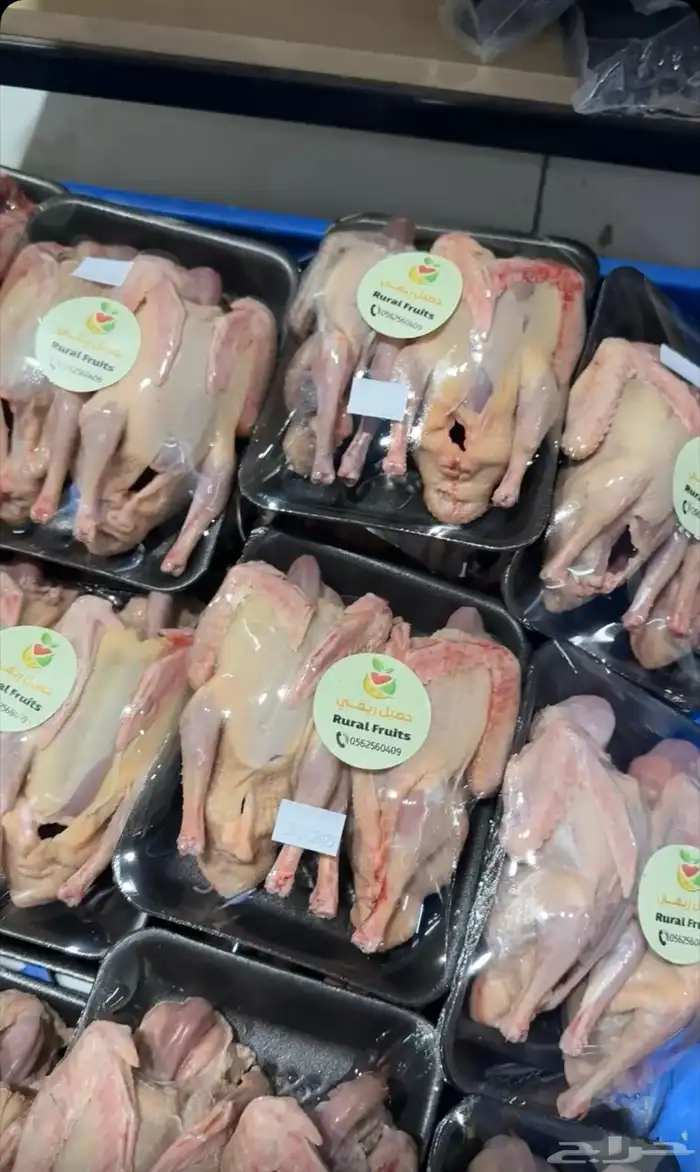 فراااخة حمام فرنسي على كيف كيفك 6