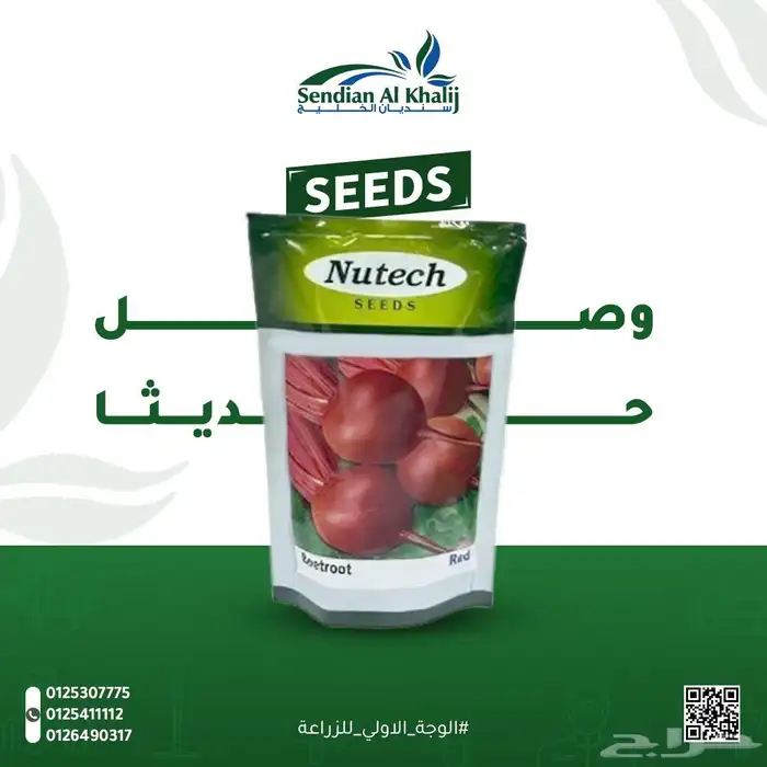 مصمم جرافيك 11