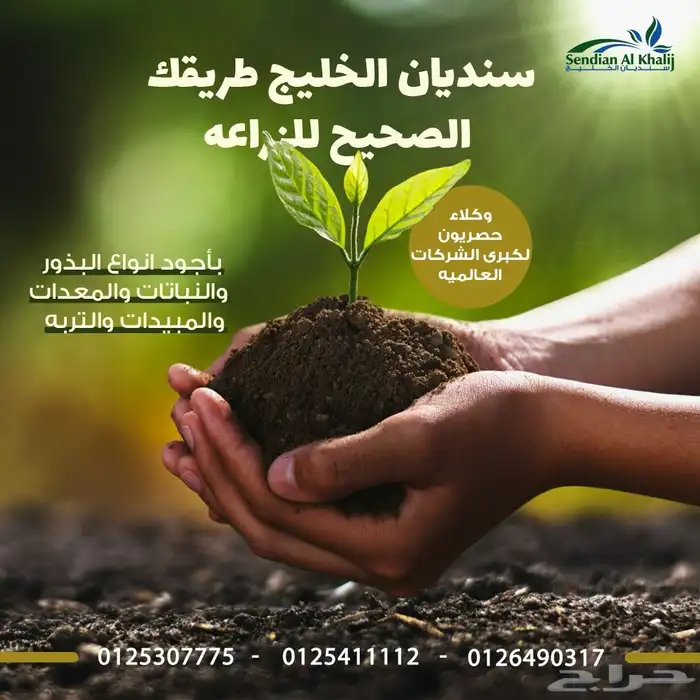 مصمم جرافيك 7