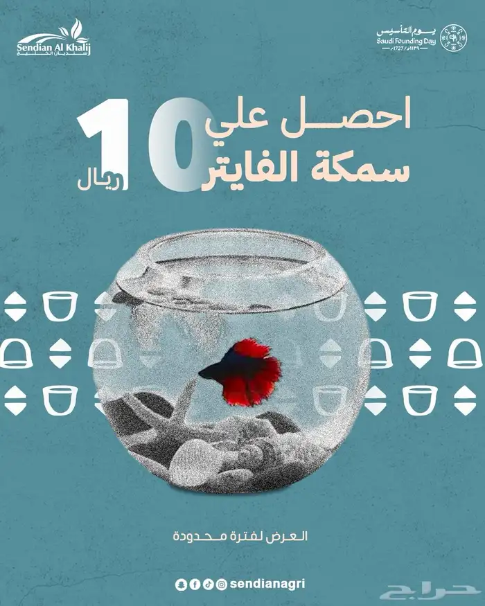 مصمم جرافيك 31