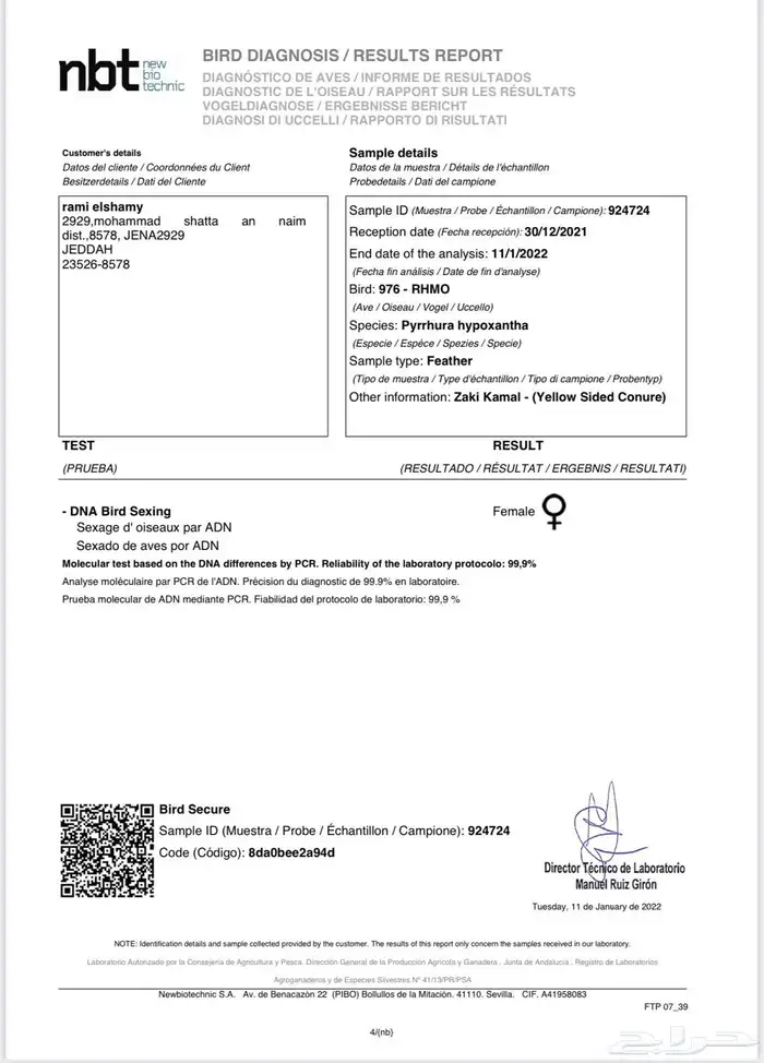 أزواج كنيور متنوعه ومنتجة ومميزة(مفرد-جملة) 21