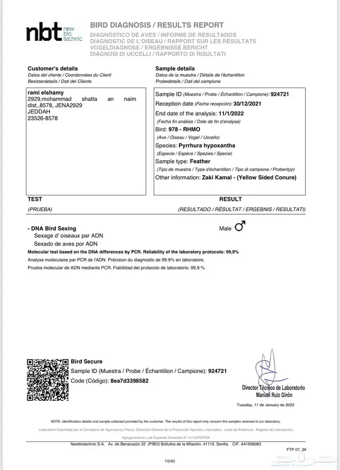 أزواج كنيور متنوعه ومنتجة ومميزة(مفرد-جملة) 20