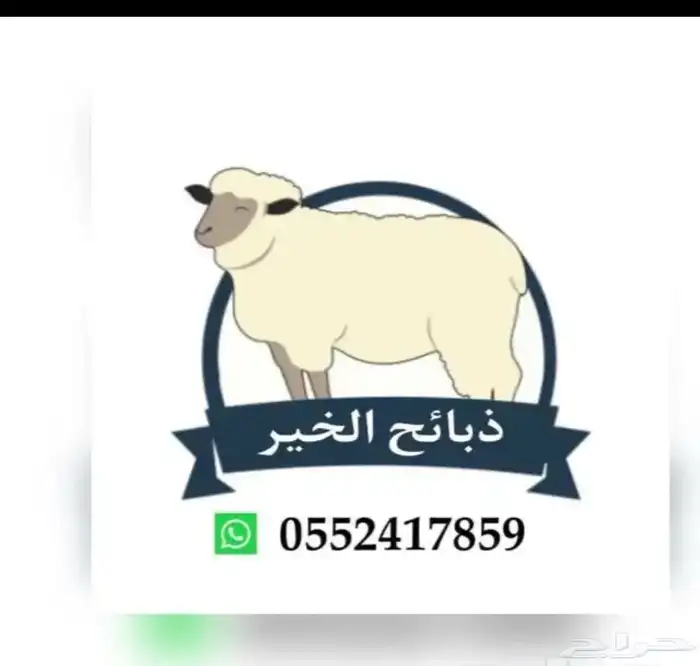 طليان حري مع خدمه الذبح والتوصيل 0
