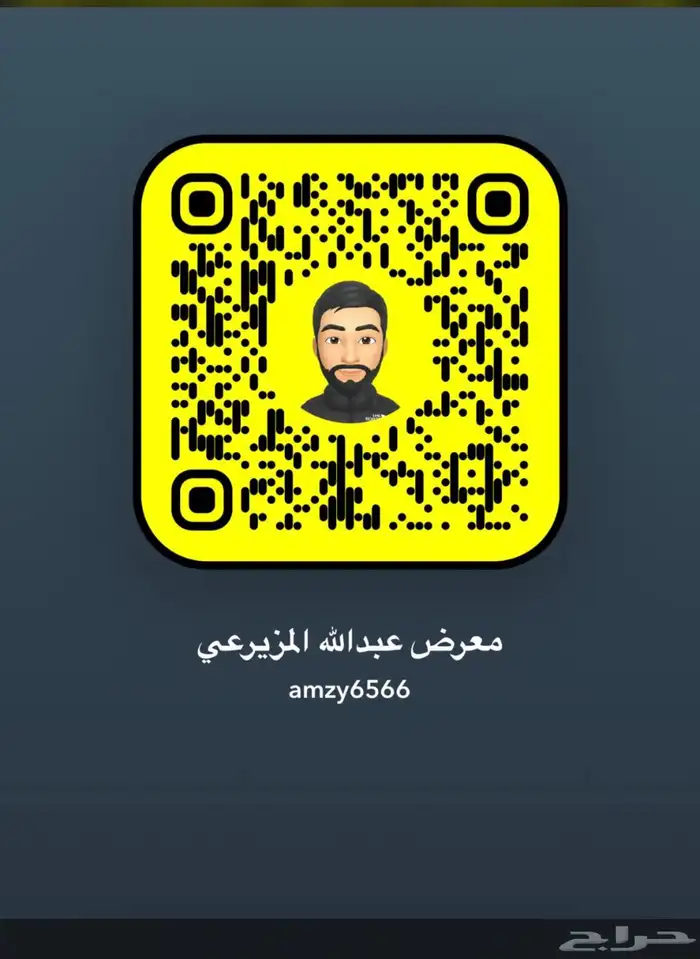 شاص 2013 6