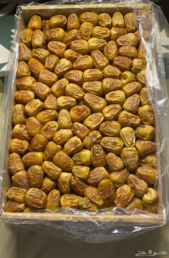تمر سكري مفتل من مزارعنا طيب بالحيل خراف اليوم بادر بالحجز. 0