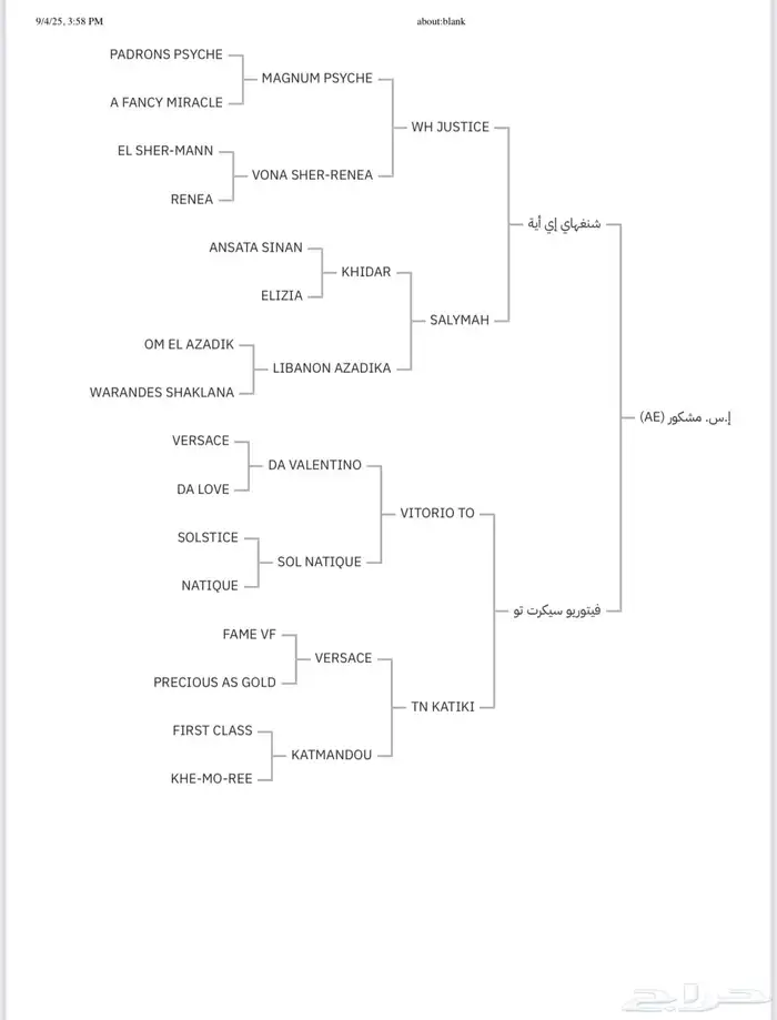 بطل الفضة مشكور للتشبيه لوجه الله 7