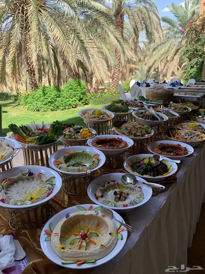 حفلات ومناسبات كوفي بريك بوفيهات غداء بوفيهات عشاء 3