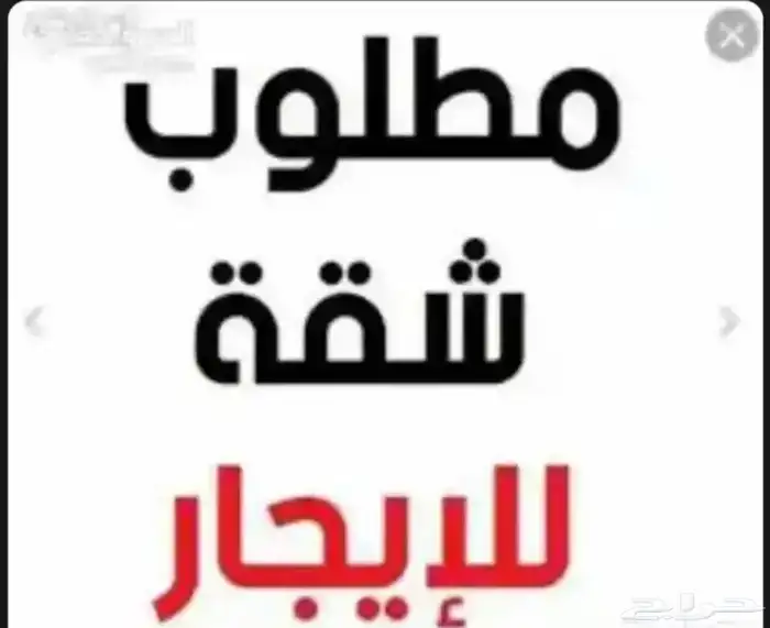 مطلوب شقه للايجار في بطحاء قريش خمس غرف ايجار شهري 0