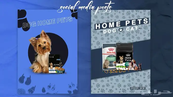 مصمم جرافيك 2