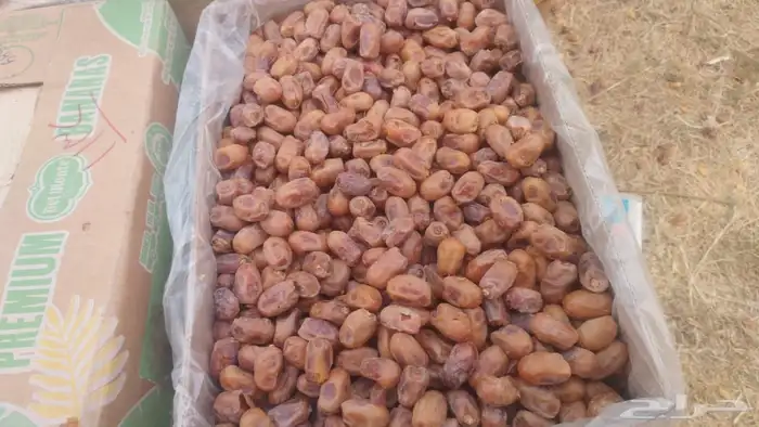 اخلاص حساء طيب الكمية كبيرة 3800كرتون موز كبير 3