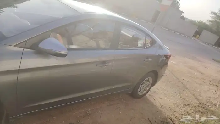 النتراء مديل 2019 1