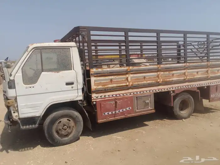 دينا تشليح أبى اسقط لوحه 1