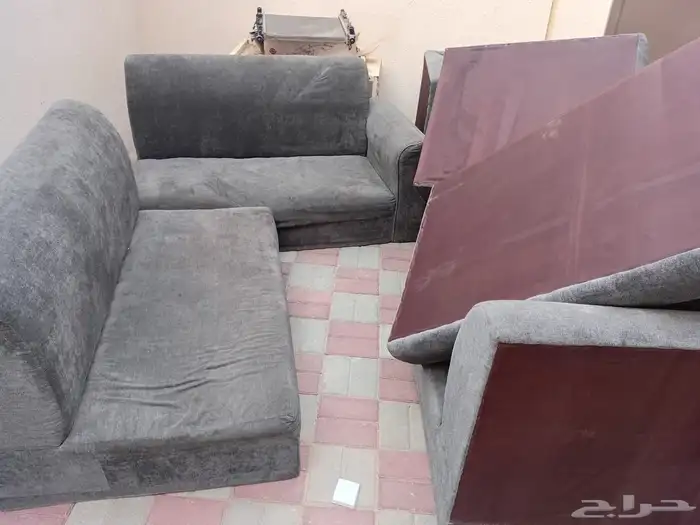 كنبات نظيفه 1