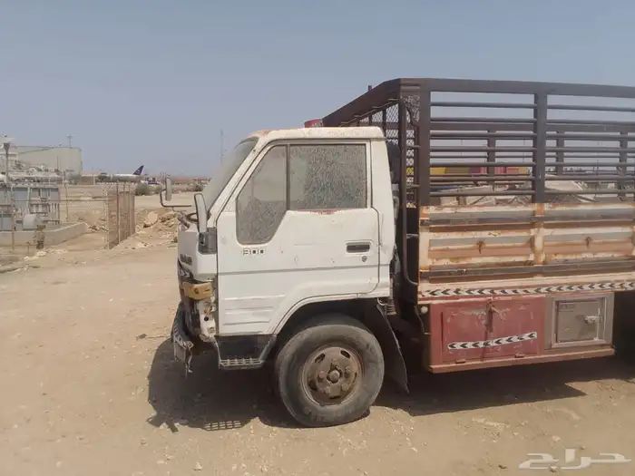 دينا تشليح أبى اسقط لوحه 2