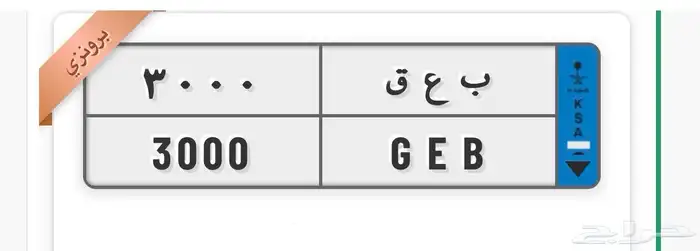 للبيع لوحتين 1
