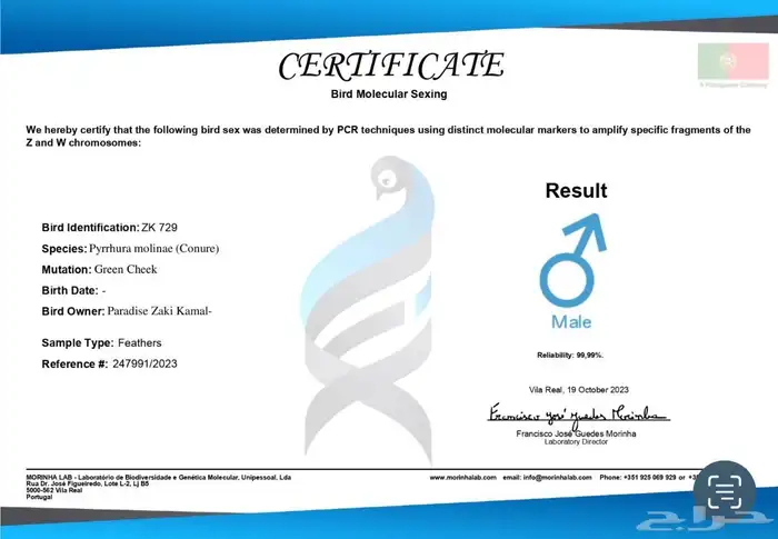 أزواج كنيور متنوعه ومنتجة ومميزة(مفرد-جملة) 13