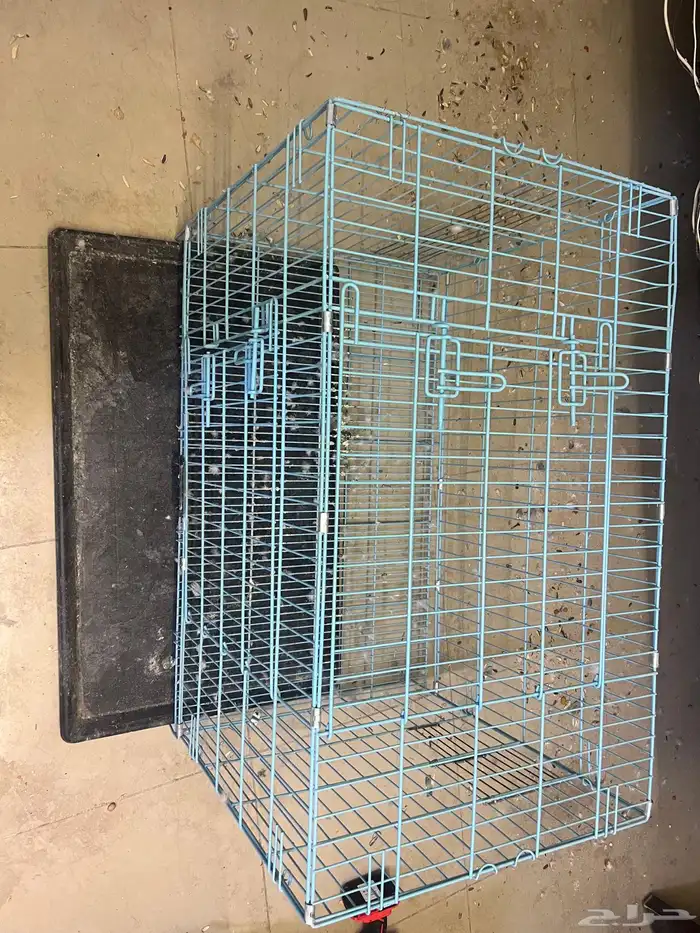 شبوك حيوانات 5