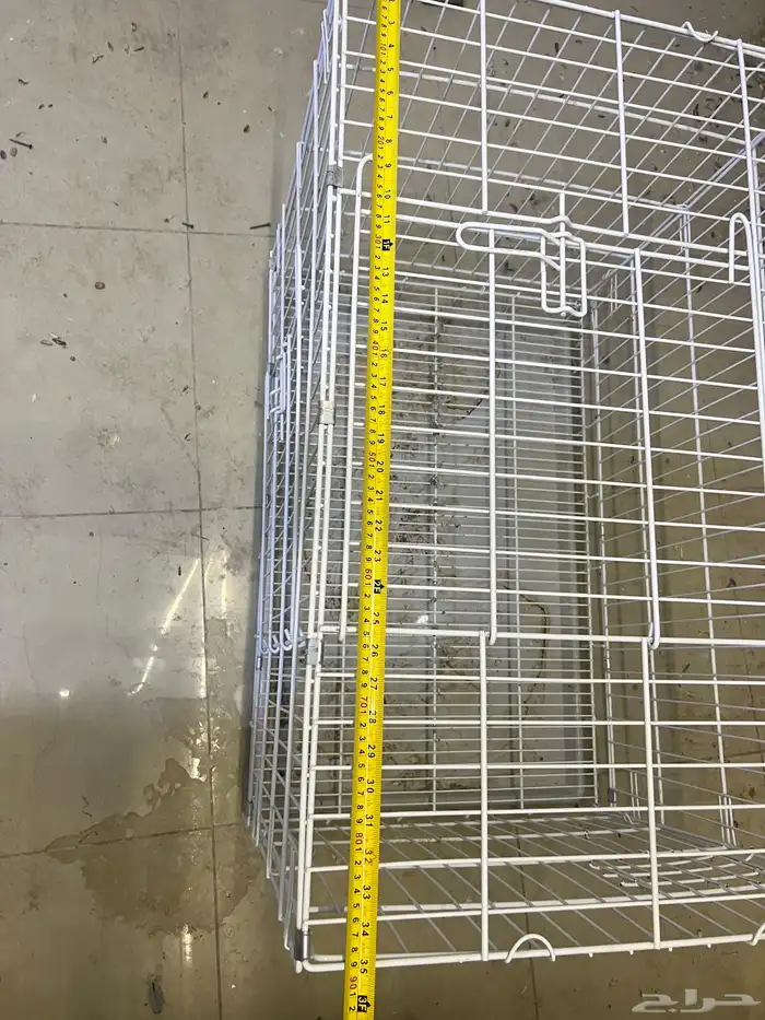 شبوك حيوانات 13