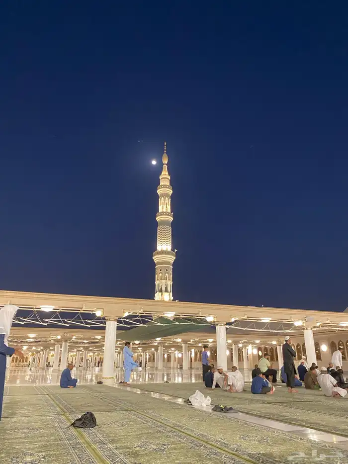 مطلوب باصات ركاب تشغيل شركة ارى وطن 9