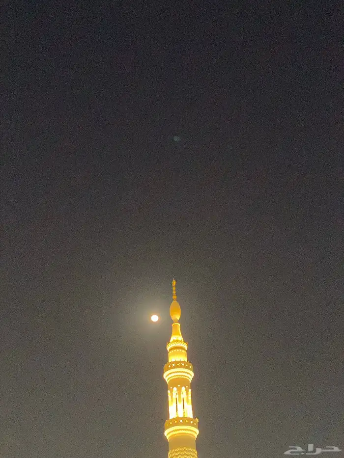 مطلوب باصات ركاب تشغيل شركة ارى وطن 8
