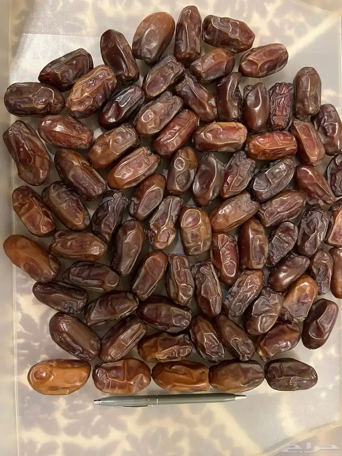 تمر خضري فاخر حبة كبيرة بالكيلو 5