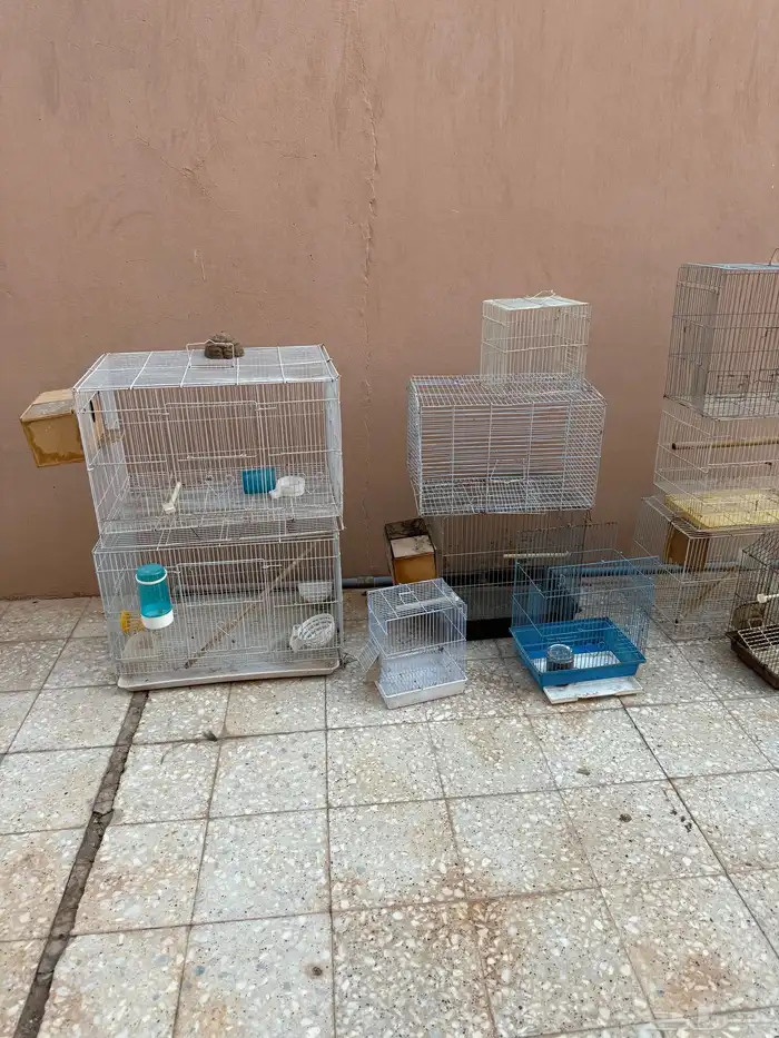 شبوك طيور زينه مستلزمات حمام 0