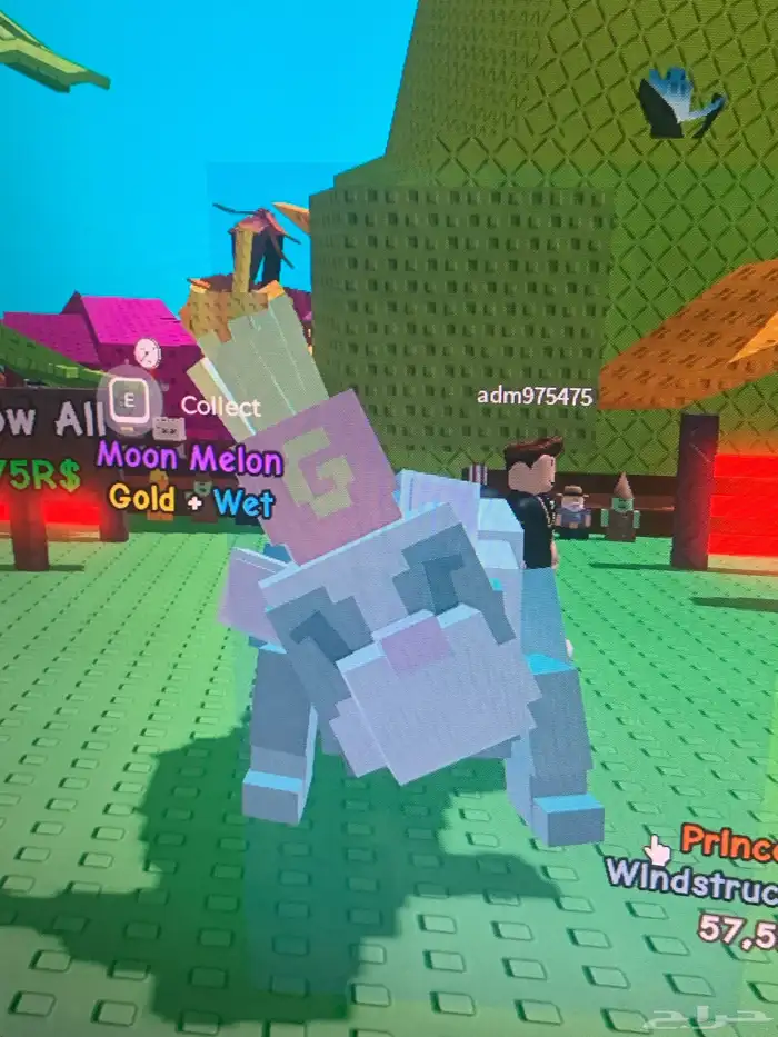 حساب روبلوكس للبيع على السوم 16