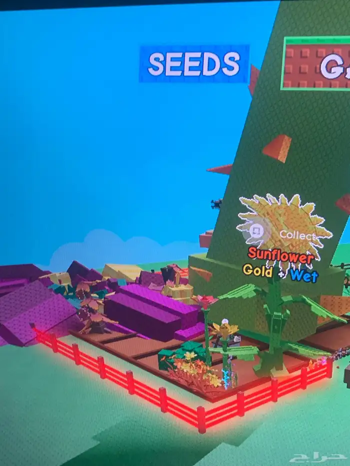 حساب روبلوكس للبيع على السوم 13