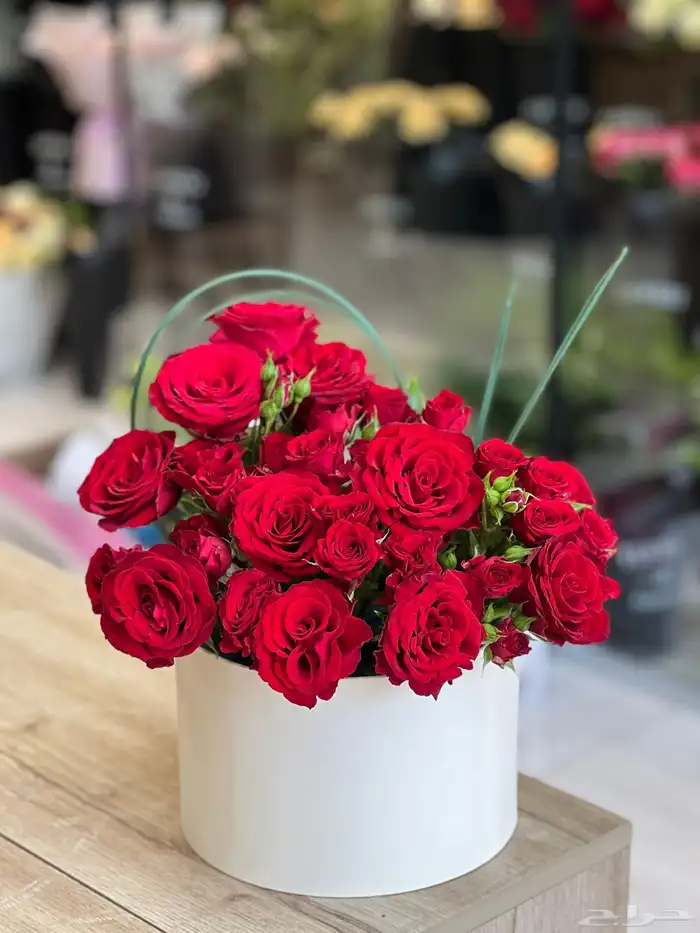مندوب جده هدايا ورد طلبات خاصه 5