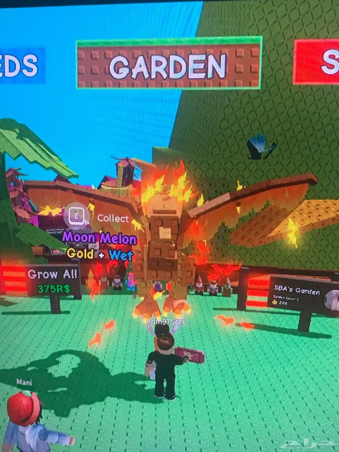 حساب روبلوكس للبيع على السوم 20