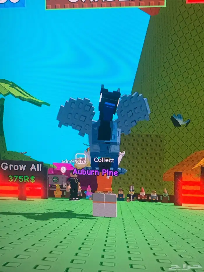 حساب روبلوكس للبيع على السوم 14