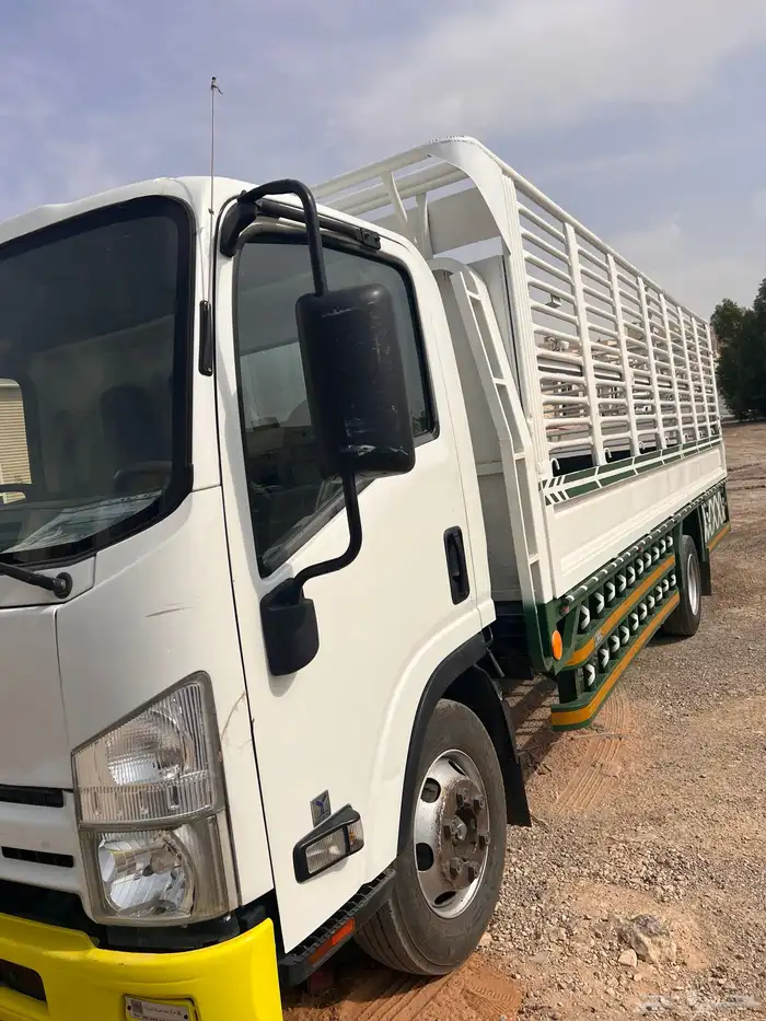 دينا للايجار ايجار دينا ايجار دينه ايجار دينات 2