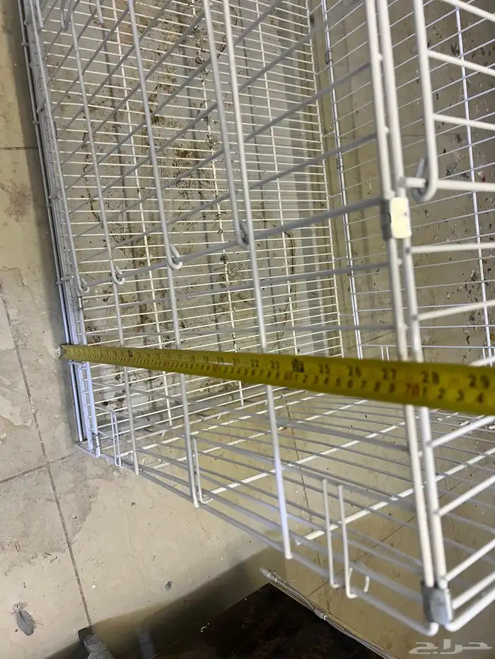 شبوك حيوانات 7