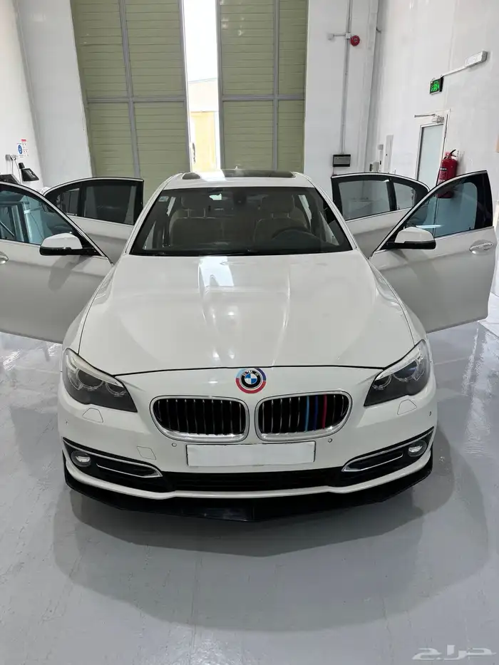 520i full 2014 4