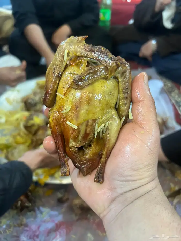 فراااخة حمام فرنسي على كيف كيفك 2