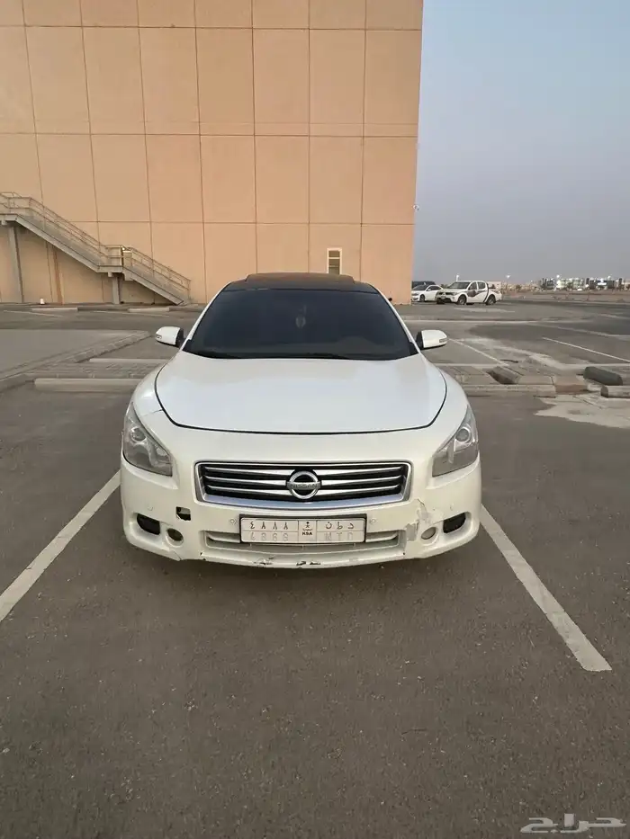 مكسيما للبيع 4