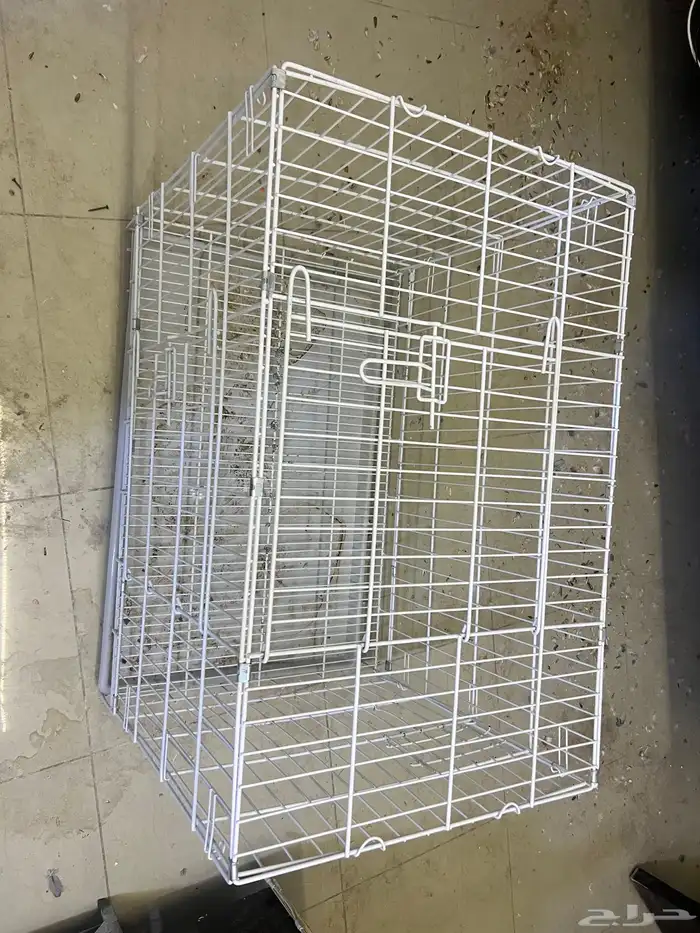 شبوك حيوانات 8