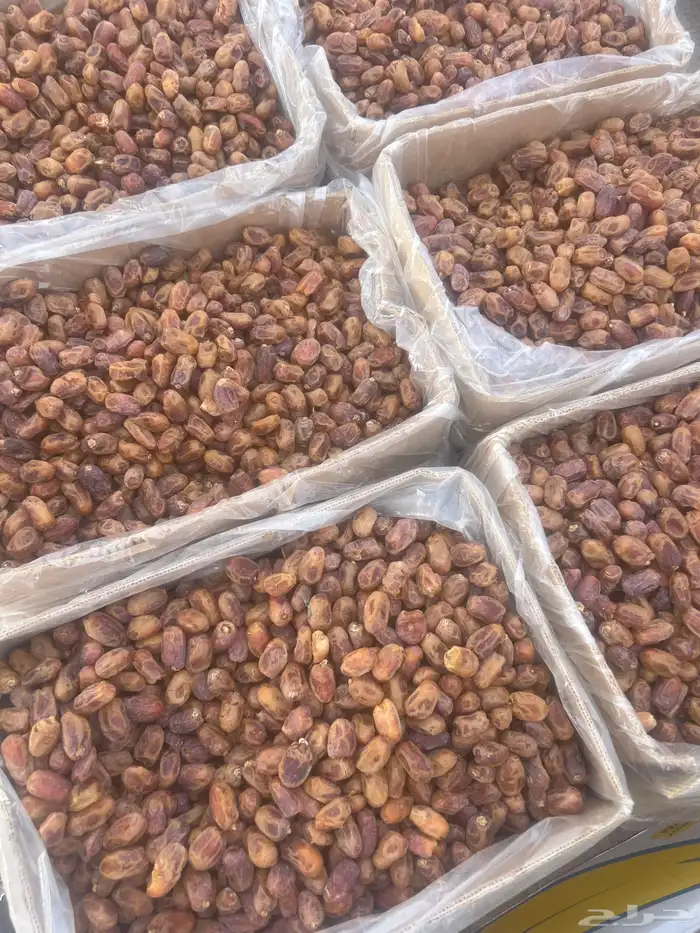 للبيع 100 كرتون خلاص الأفلاج الكيلو 3 ريال ونص 0