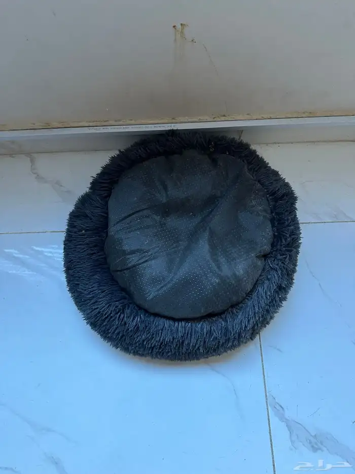 مفرش قط 2