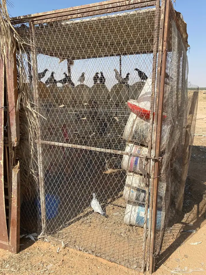شبك حمام 2 2 نظيف ثلاث فتحات 0