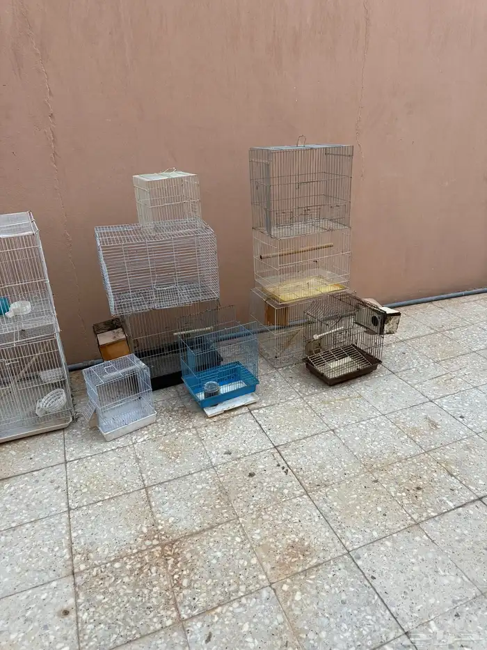 شبوك طيور زينه مستلزمات حمام 1