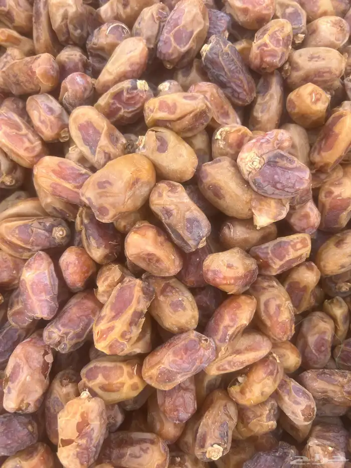 للبيع 100 كرتون خلاص الأفلاج الكيلو 3 ريال ونص 1