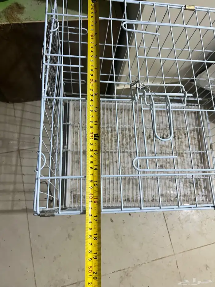 شبوك حيوانات 2