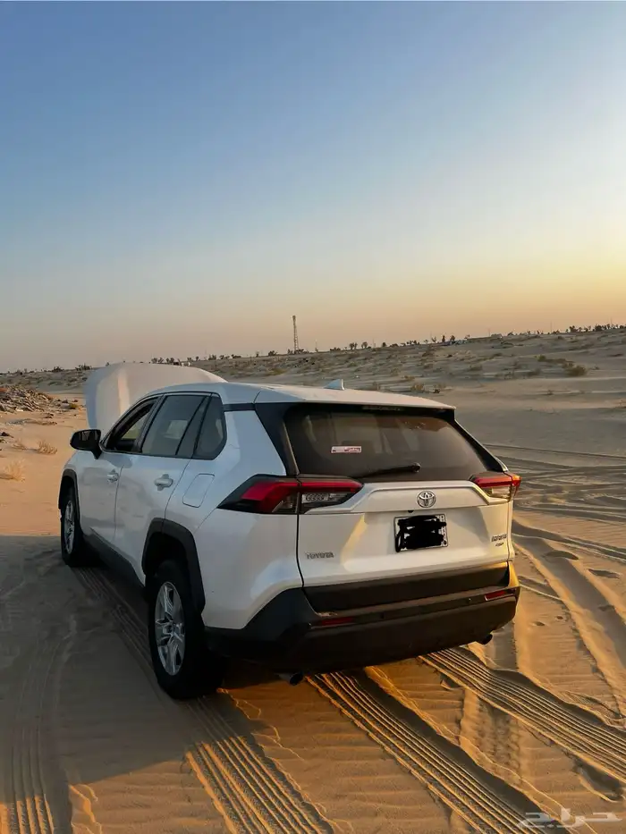 راف فور 2020 19