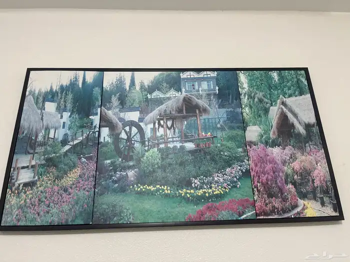 لوحات وقطعه كنب وقطعه فرديه من الكنب وطاوله من الحديد 0