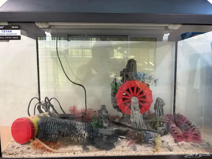 حوض سمك للبيع 0